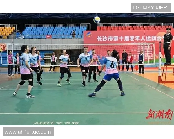 吴静独家分享排球技巧与心得助你提升球技与比赛表现