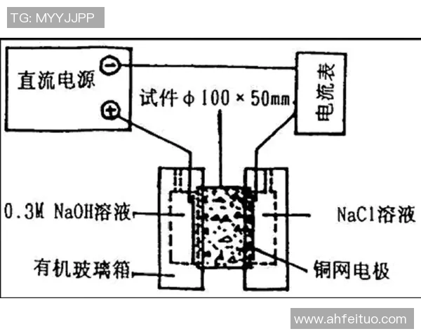 上海乒乓球队边路渗透战术分析及其对比赛结果的影响探讨 上海乒乓球队边路渗透战术分析及其对比赛结果的影响探讨