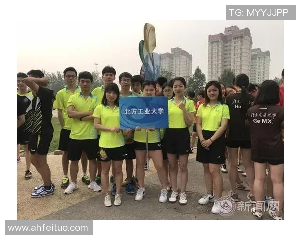 成都乒乓球队团队协作的成功秘诀与实践经验分享