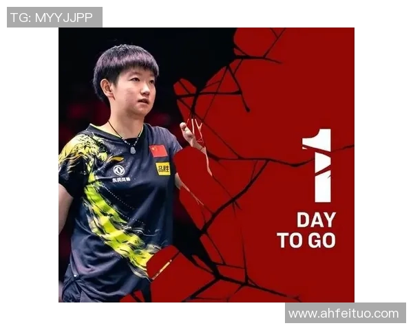 杭州排球队以62分领跑大满贯积分榜展现强劲实力与团队合作精神